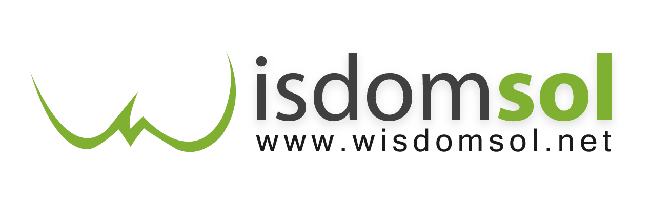 WisdomSol Technologies